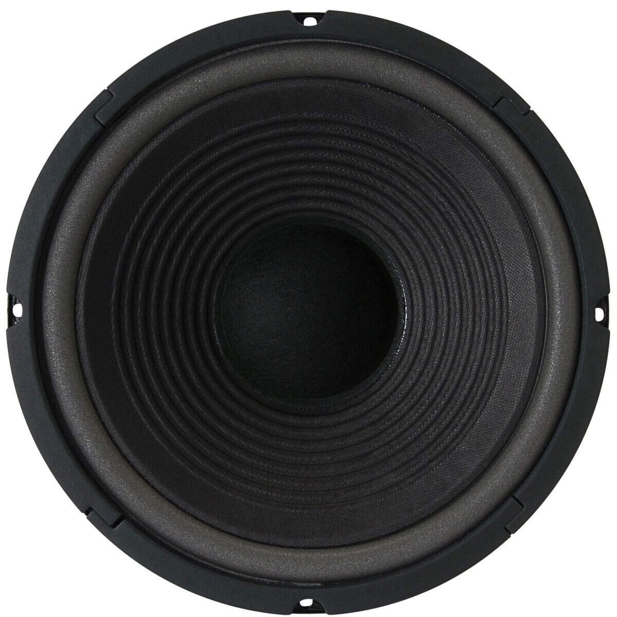 Haut-parleur 10 Visaton W 250 S - 4 Ohm N/A
